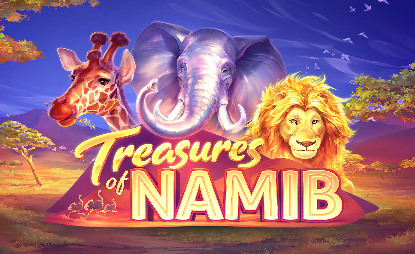 Treasures of Namib